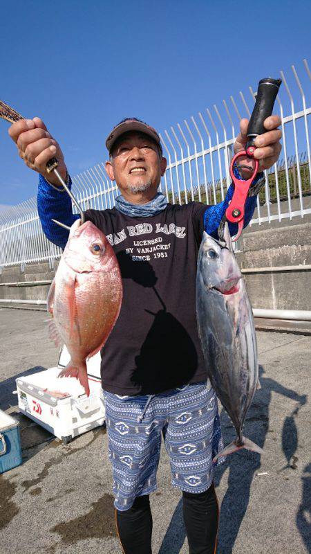 だて丸 釣果