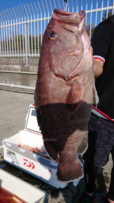 だて丸 釣果