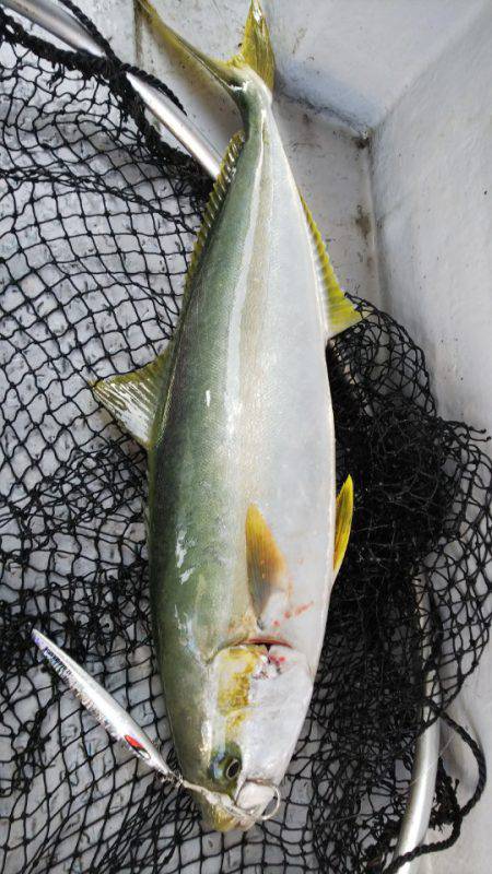 第二龍勢丸 釣果