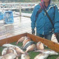 海の釣堀 海恵 釣果