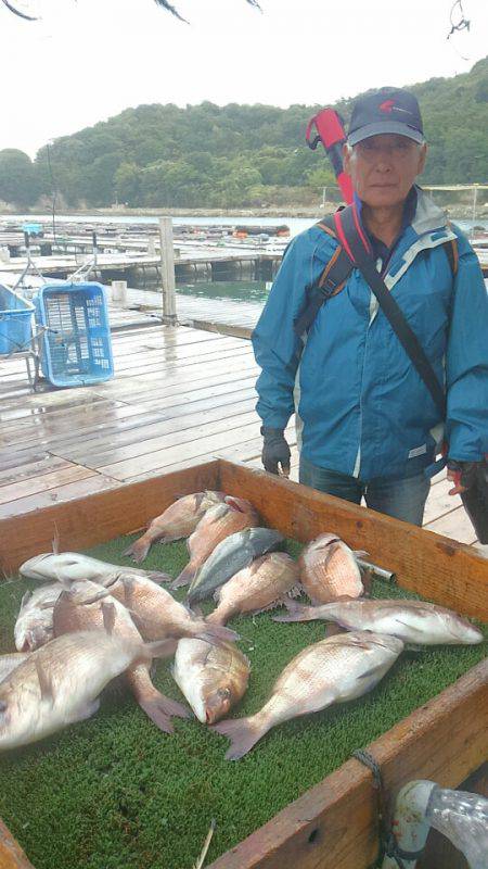 海の釣堀 海恵 釣果