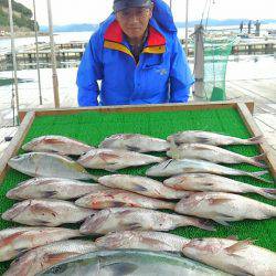 海の釣堀 海恵 釣果