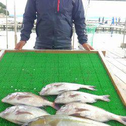 海の釣堀 海恵 釣果
