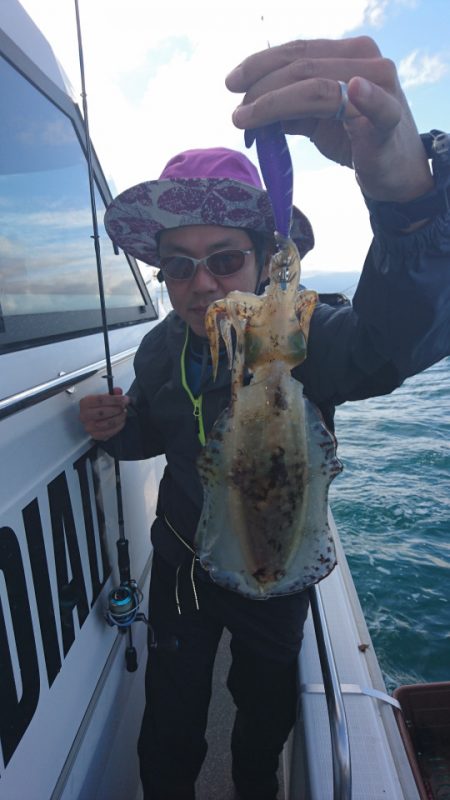 ARCADIAⅡ (アルカディアⅡ) 釣果