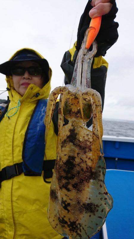 第三共栄丸 釣果
