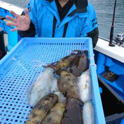 第三共栄丸 釣果