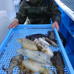 第三共栄丸 釣果