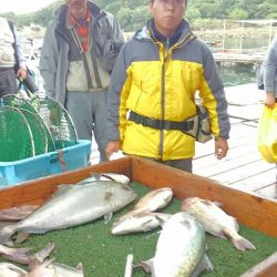 海の釣堀 海恵 釣果