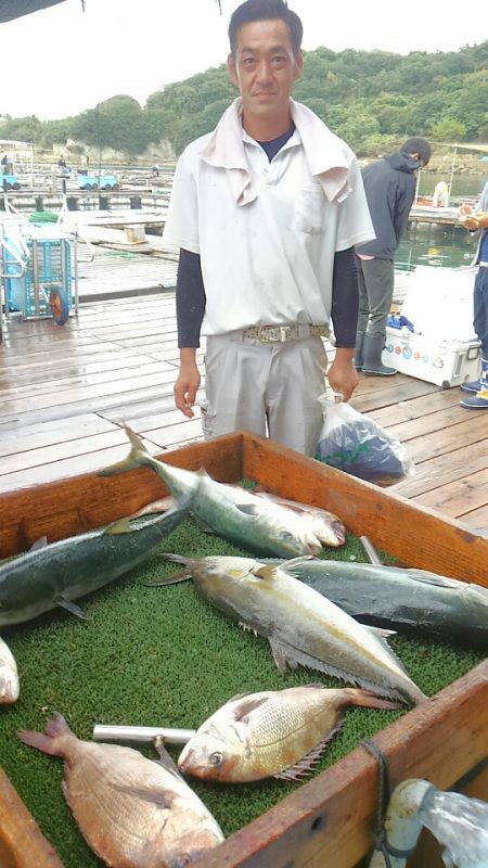 海の釣堀 海恵 釣果