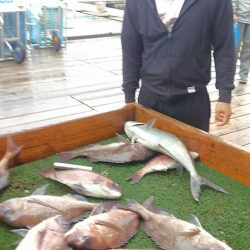 海の釣堀 海恵 釣果