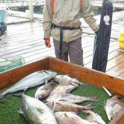 海の釣堀 海恵 釣果