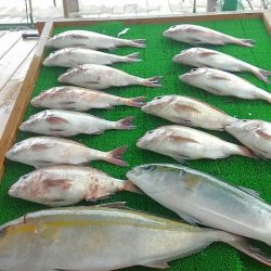 海の釣堀 海恵 釣果