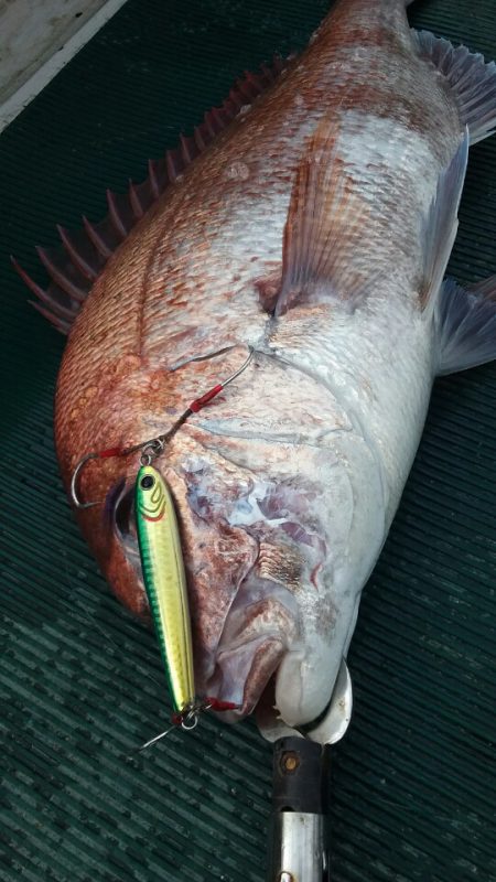 鷹王丸 釣果