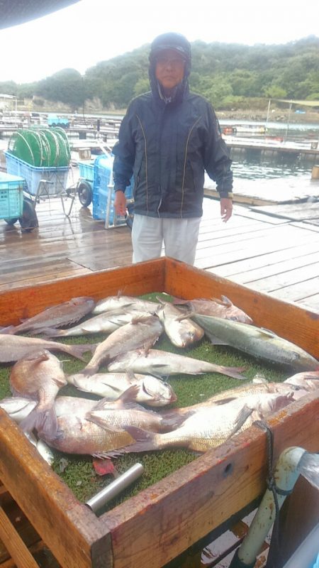 海の釣堀 海恵 釣果