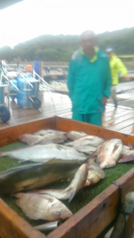 海の釣堀 海恵 釣果