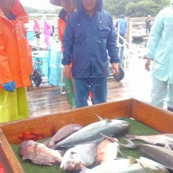 海の釣堀 海恵 釣果