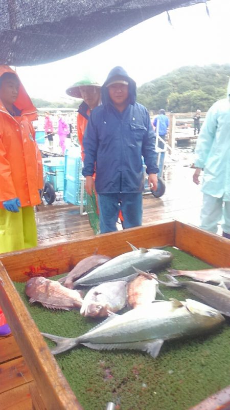海の釣堀 海恵 釣果