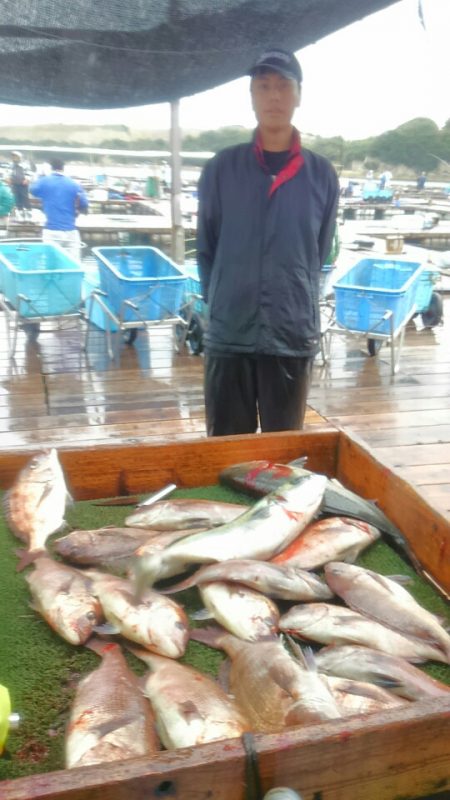 海の釣堀 海恵 釣果