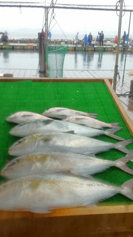 海の釣堀 海恵 釣果