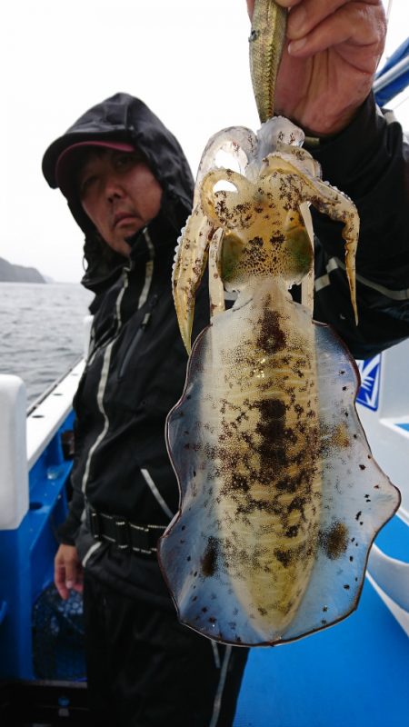 第三共栄丸 釣果