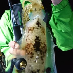 第三共栄丸 釣果