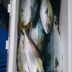 海龍丸（石川） 釣果