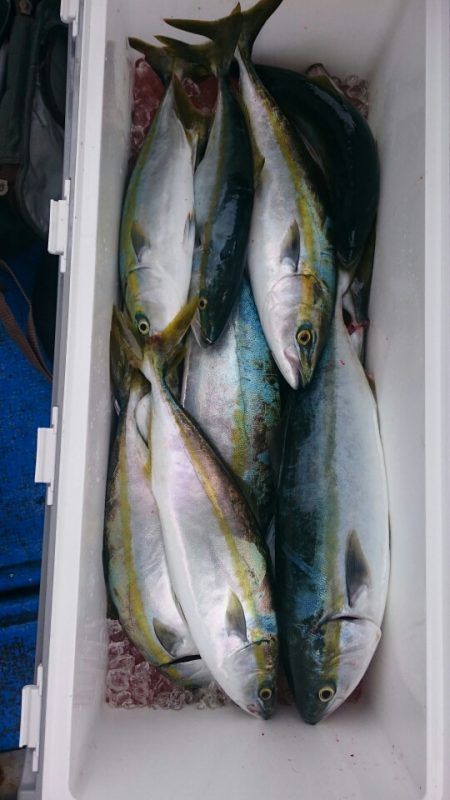 海龍丸（石川） 釣果