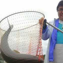 海の釣堀 海恵 釣果