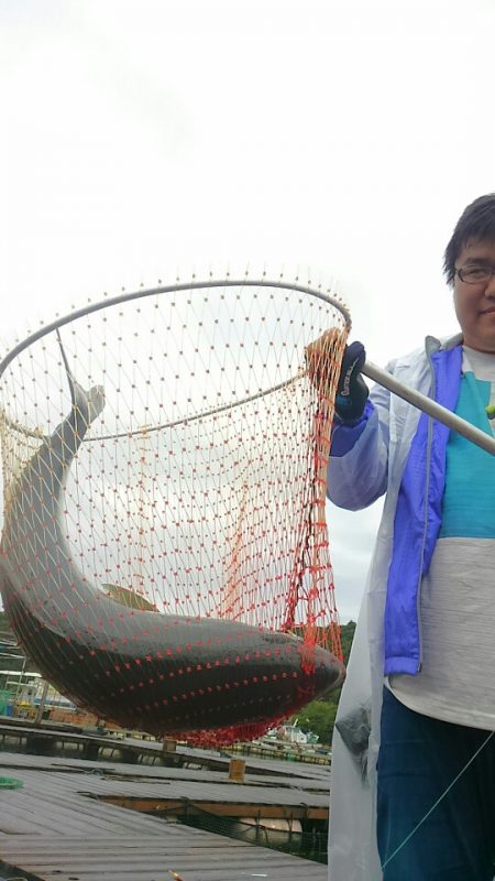 海の釣堀 海恵 釣果