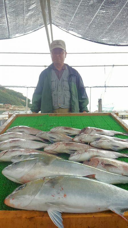 海の釣堀 海恵 釣果