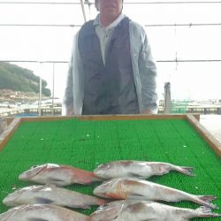 海の釣堀 海恵 釣果