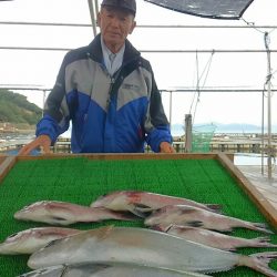 海の釣堀 海恵 釣果