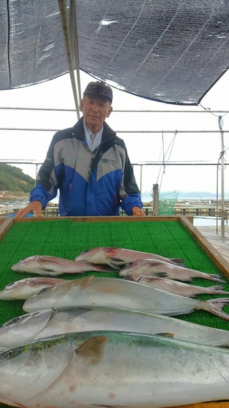 海の釣堀 海恵 釣果