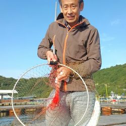 海の釣堀 海恵 釣果