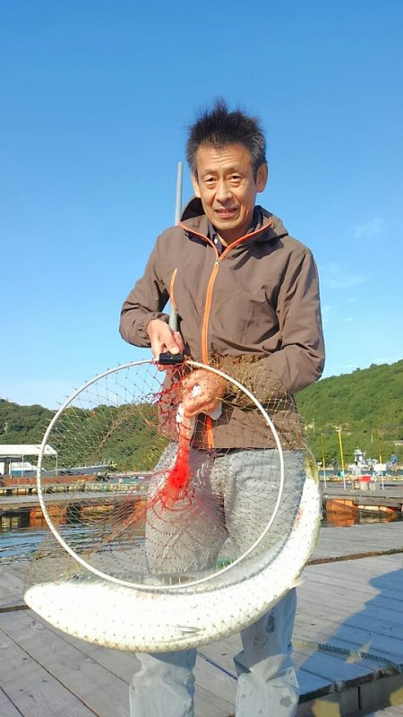 海の釣堀 海恵 釣果