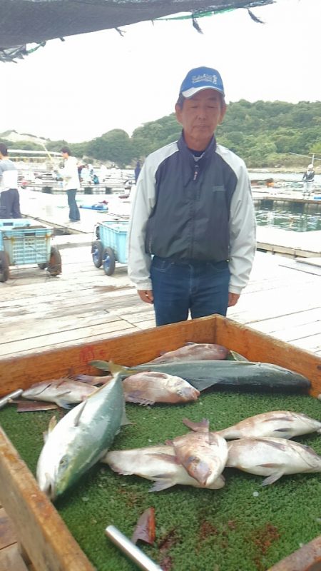 海の釣堀 海恵 釣果
