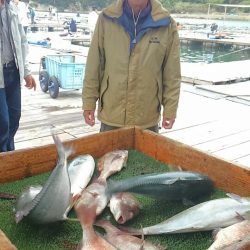 海の釣堀 海恵 釣果