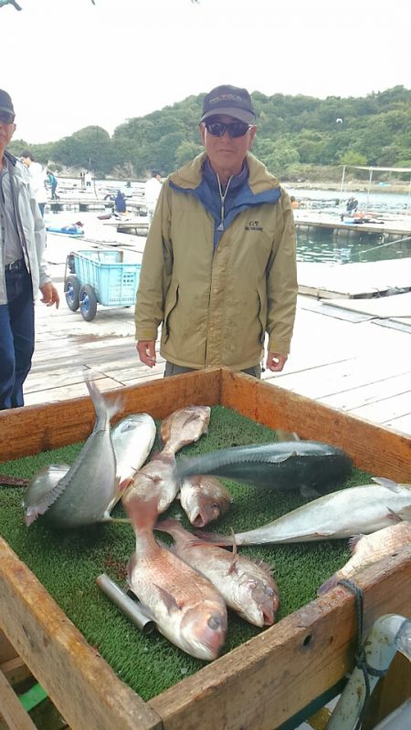 海の釣堀 海恵 釣果