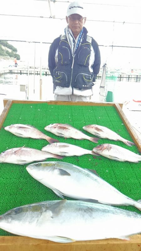 海の釣堀 海恵 釣果
