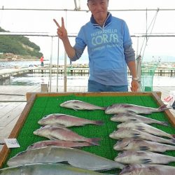 海の釣堀 海恵 釣果