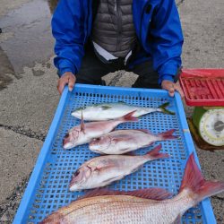 第三共栄丸 釣果