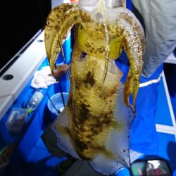 第三共栄丸 釣果