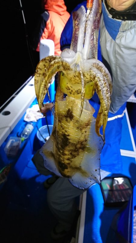 第三共栄丸 釣果