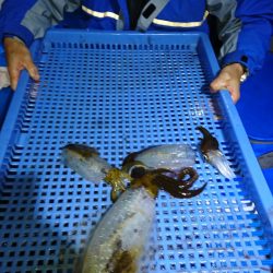 第三共栄丸 釣果