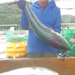 海の釣堀 海恵 釣果