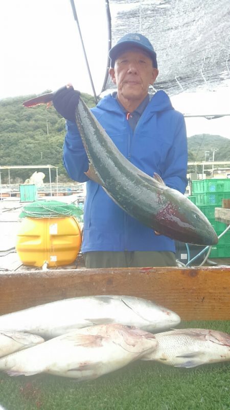 海の釣堀 海恵 釣果