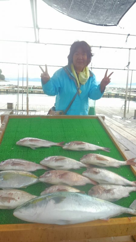 海の釣堀 海恵 釣果