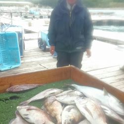 海の釣堀 海恵 釣果