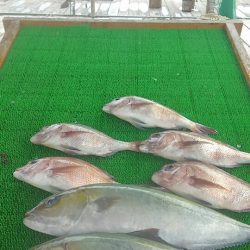 海の釣堀 海恵 釣果