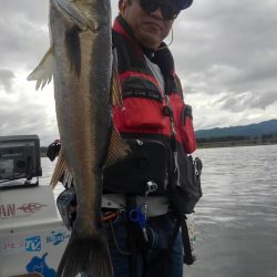 アマテラス 釣果